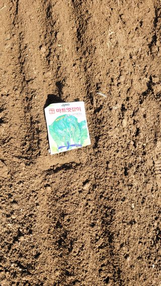 김영규님의 기타작물 · 영농일지 작성글 사진