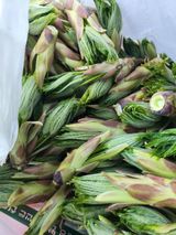 팜모닝 기타작물·영농일지 게시글 이미지