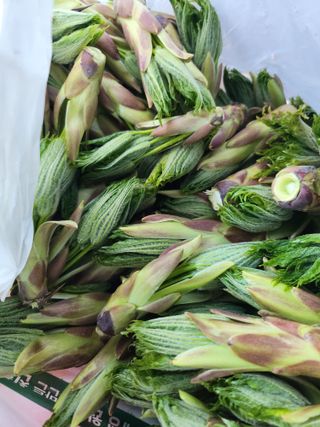 유정근님의 기타작물 · 영농일지 작성글 사진