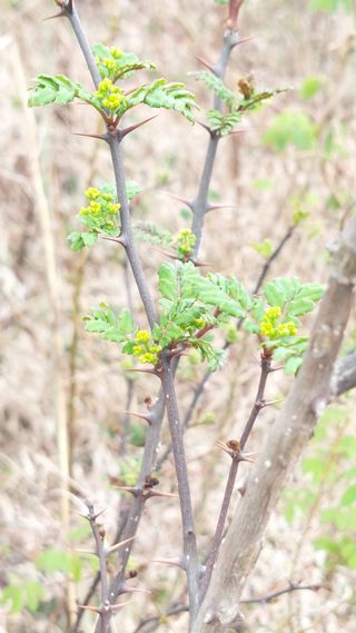 유병욱님의 기타작물 · 영농일지 작성글 사진