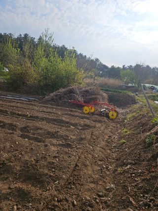 황강섭(낭산선인)님의 기타작물 · 영농일지 작성글 사진
