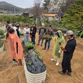 조영숙님의 오이 · 영농일지 작성글 사진