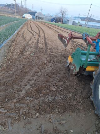 마늘25328님의 기타작물 · 영농일지 작성글 사진