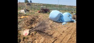 황금알대박농원!님의 사과 · 영농일지 작성글 사진