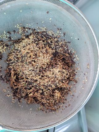 김홍중님의 두릅 · 영농일지 작성글 사진