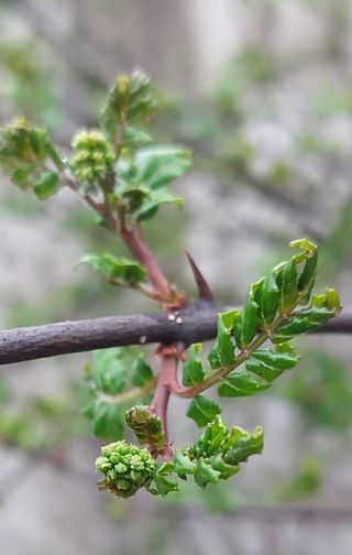 유병욱님의 기타작물 · 영농일지 작성글 사진