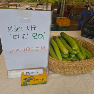 조영숙님의 기타작물 · 영농일지 작성글 사진