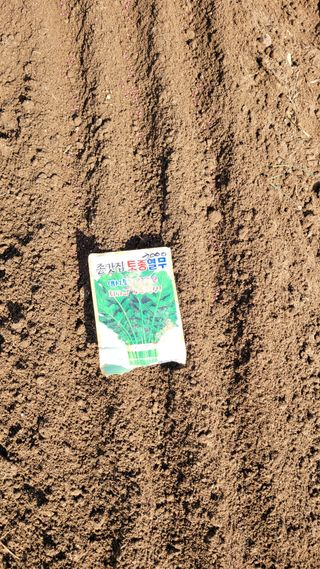 김영규님의 기타작물 · 영농일지 작성글 사진