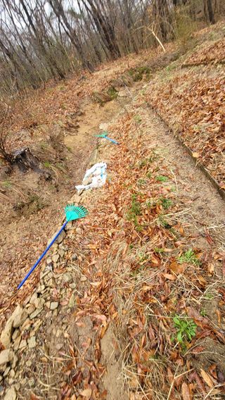 서초농원님의 기타작물 · 영농일지 작성글 사진