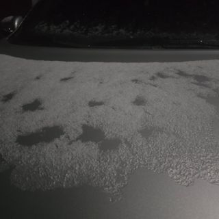 조영숙님의 기타작물 · 영농일지 작성글 사진