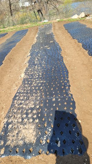 서초농원님의 기타작물 · 영농일지 작성글 사진