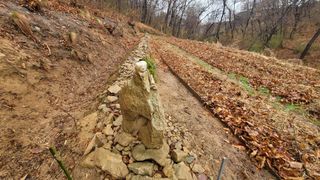 서초농원님의 기타작물 · 영농일지 작성글 사진