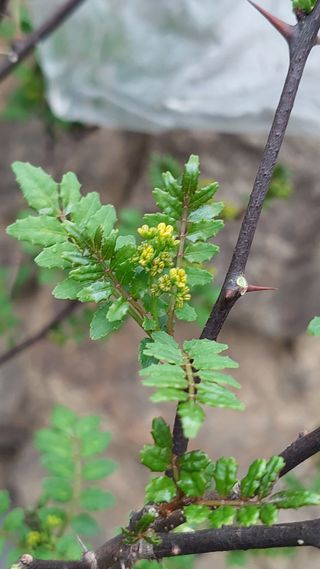 유병욱님의 기타작물 · 영농일지 작성글 사진