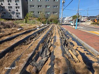 표고버섯16097님의 기타작물 · 영농일지 작성글 사진