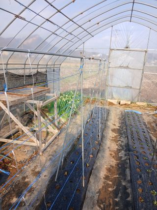 백영호님의 기타작물 · 영농일지 작성글 사진