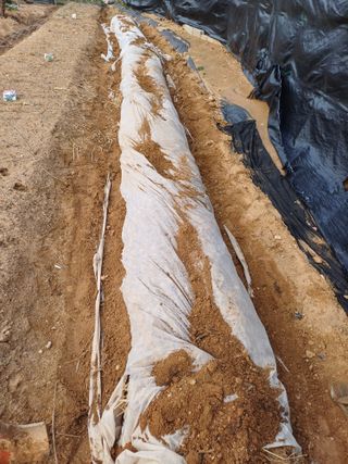 이철우님의 기타작물 · 영농일지 작성글 사진