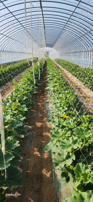 자연그대로님의 기타작물 · 영농일지 작성글 사진