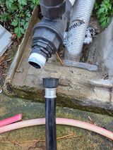 팜모닝 기타작물·영농일지 게시글 이미지