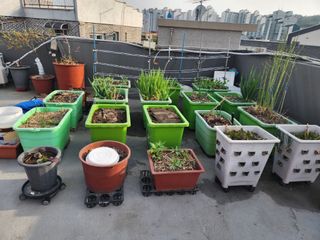 장재성님의 기타작물 · 영농일지 작성글 사진