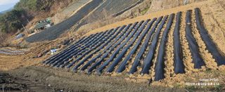 장두원님의 기타작물 · 영농일지 작성글 사진