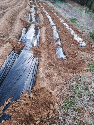 박병한님의 기타작물 · 자유게시판 작성글 사진