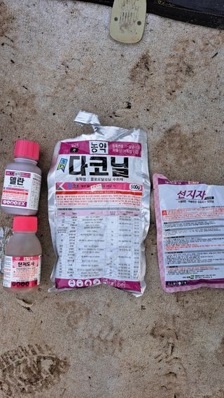 주윤발이님의 복숭아 · 영농일지 작성글 사진