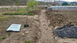 늘푸른 농장주님의 기타작물 · 영농일지 작성글 사진