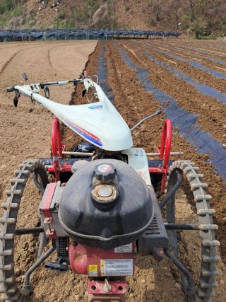 류남열님의 기타작물 · 영농일지 작성글 사진