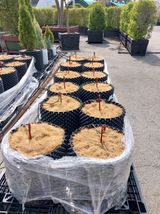 팜모닝 감자·영농일지 게시글 이미지