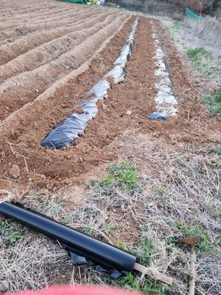 박병한님의 기타작물 · 자유게시판 작성글 사진