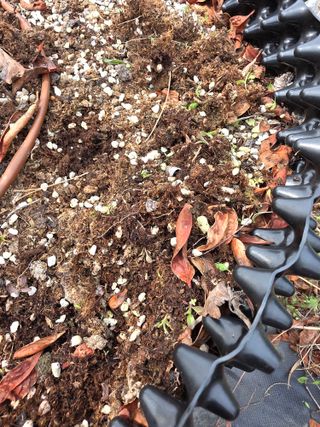 정재철님의 기타작물 · 영농일지 작성글 사진