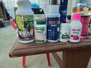 서현철님의 기타작물 · 영농일지 작성글 사진