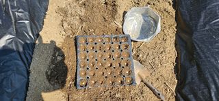 귀농인님의 옥수수 · 영농일지 작성글 사진