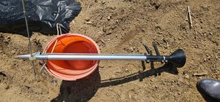 귀농인님의 옥수수 · 영농일지 작성글 사진