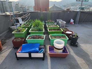 장재성님의 기타작물 · 영농일지 작성글 사진