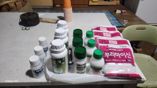 김준한님의 자두 · 영농일지 작성글 사진