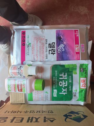 강예석님의 복숭아 · 영농일지 작성글 사진