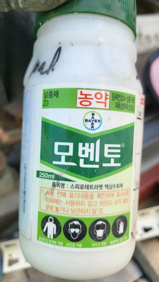 늘푸른 농장주님의 기타작물 · 영농일지 작성글 사진