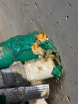 거여농원(방정재)님의 기타작물 · 영농일지 작성글 사진