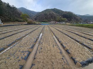 김진환님의 기타작물 · 영농일지 작성글 사진