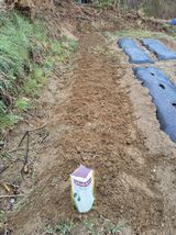 팜모닝 옥수수·영농일지 게시글 이미지