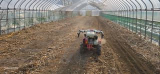 ♡청심전유삼♡님의 기타작물 · 영농일지 작성글 사진