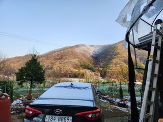 드래곤 님의 고추 · 영농일지 작성글 사진