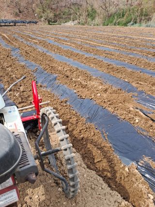 류남열님의 기타작물 · 영농일지 작성글 사진