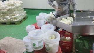 정해원.님의 기타작물 · 영농일지 작성글 사진