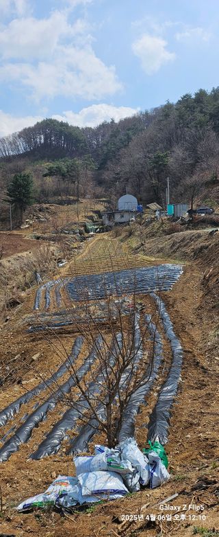 장두원님의 기타작물 · 영농일지 작성글 사진