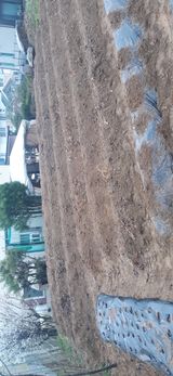 팜모닝 기타작물·영농일지 게시글 이미지