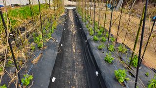 김호열님의 기타작물 · 영농일지 작성글 사진