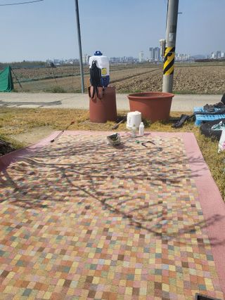 Cjd3582님의 자두 · 영농일지 작성글 사진