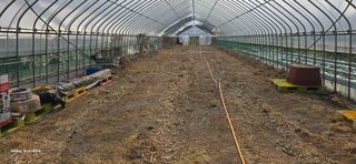 ♡청심전유삼♡님의 기타작물 · 영농일지 작성글 사진